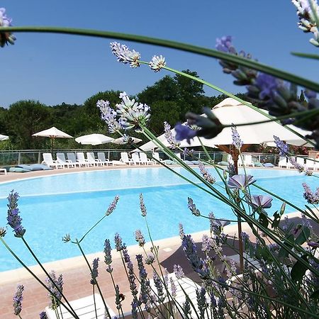 Il Borgo Centro Vacanze Guardistallo Eksteriør bilde