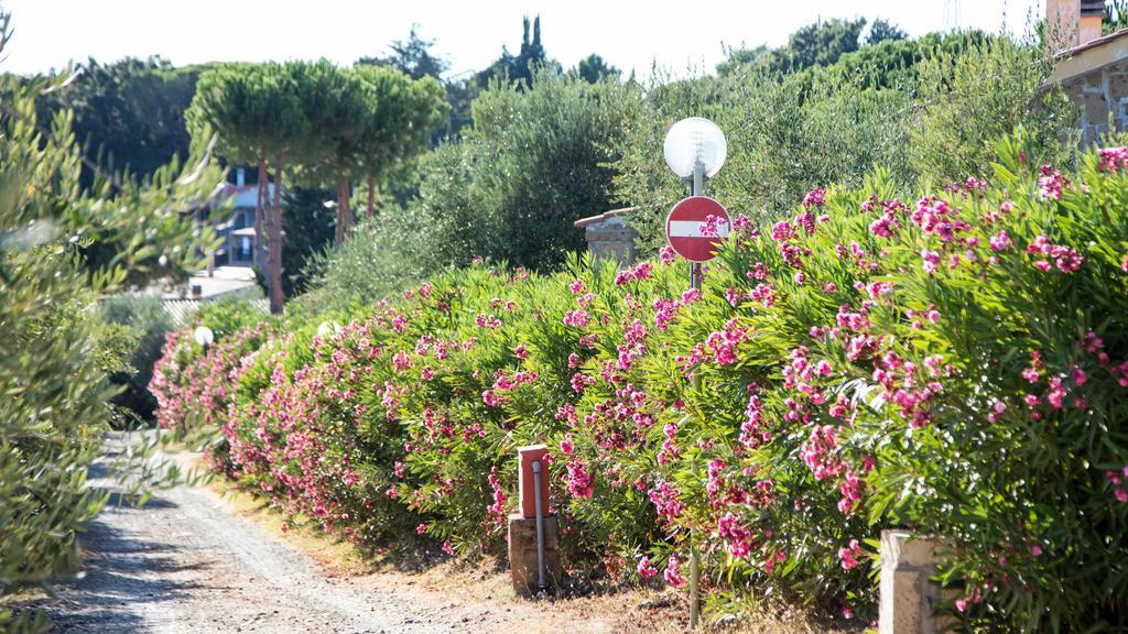 Il Borgo Centro Vacanze Guardistallo Eksteriør bilde